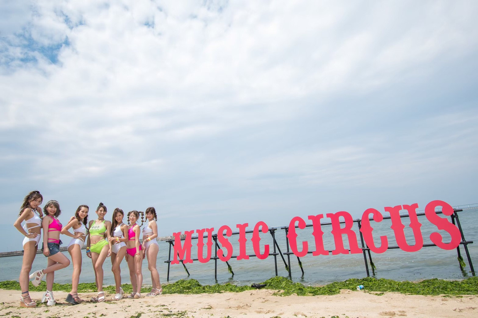 昨年の活動の様子